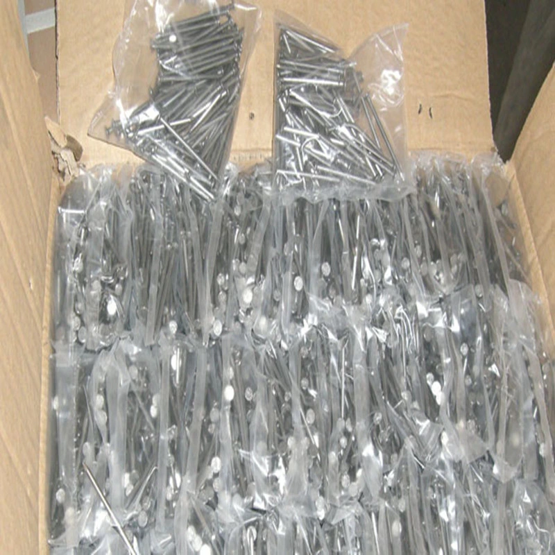 55# Steel Concrete Galvanized Nails, Common Iron Polished Nail for Building Construction