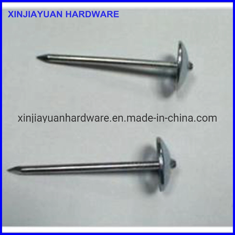 Fasteners Galvanized Roofing Nail Big Flat Head