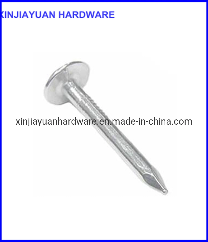 Fasteners Galvanized Roofing Nail Big Flat Head