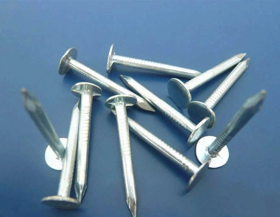 China Concrete Cupper Nails Roofing Nails