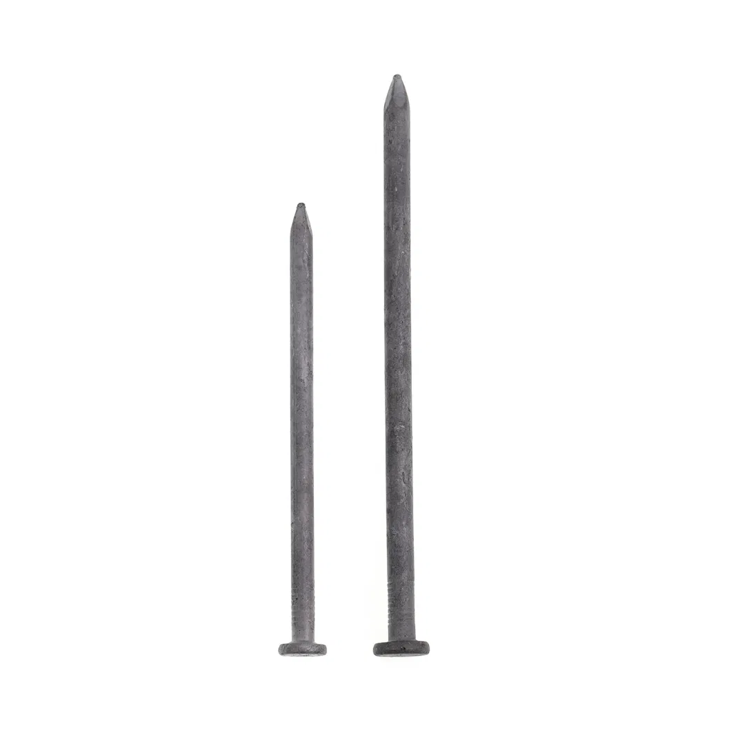 Common Iron Nail, Steel Nail