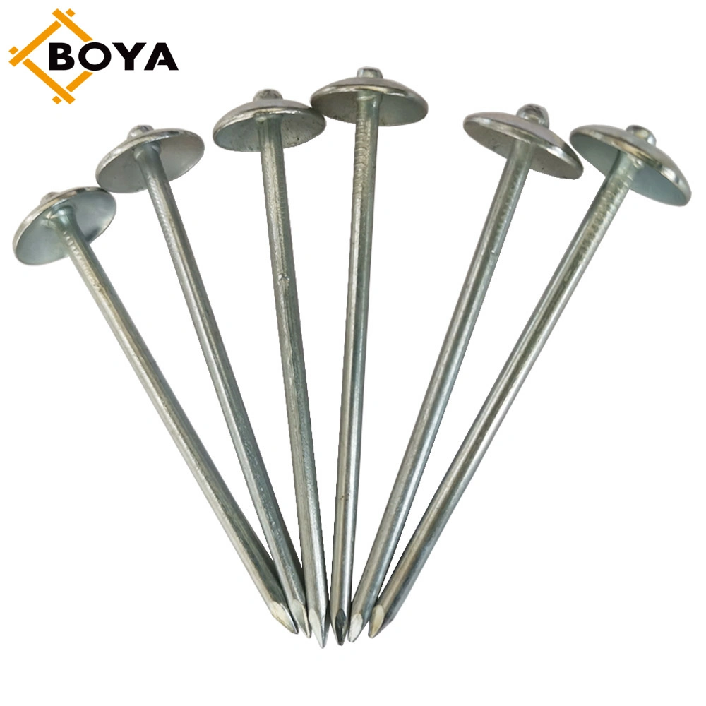 Expert Standard Galvanized Roofing /Concrete /Clout /Wire Nails