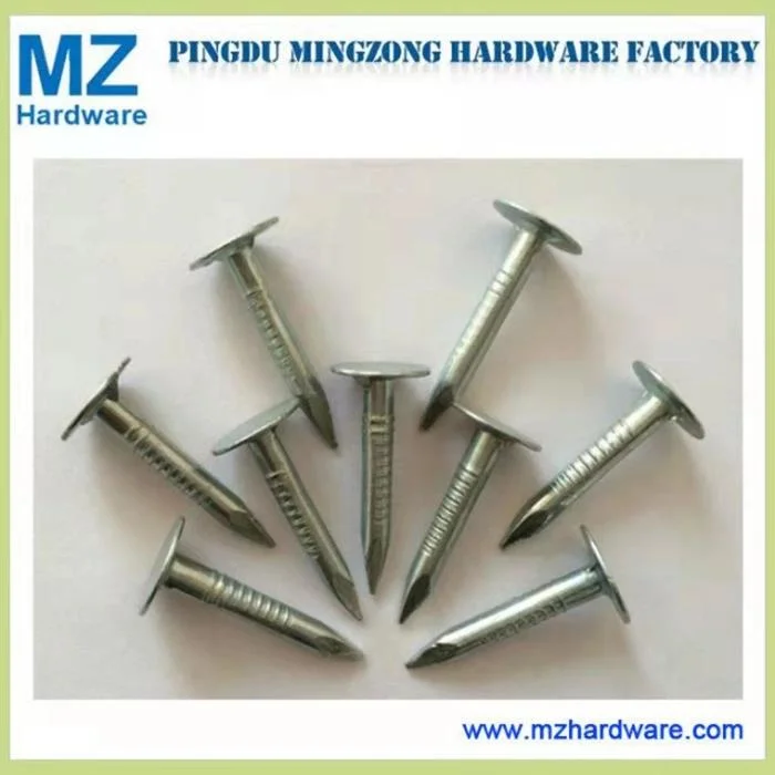 China Outlet Galvanized/Copper Flat Roofing Head Clout Nail