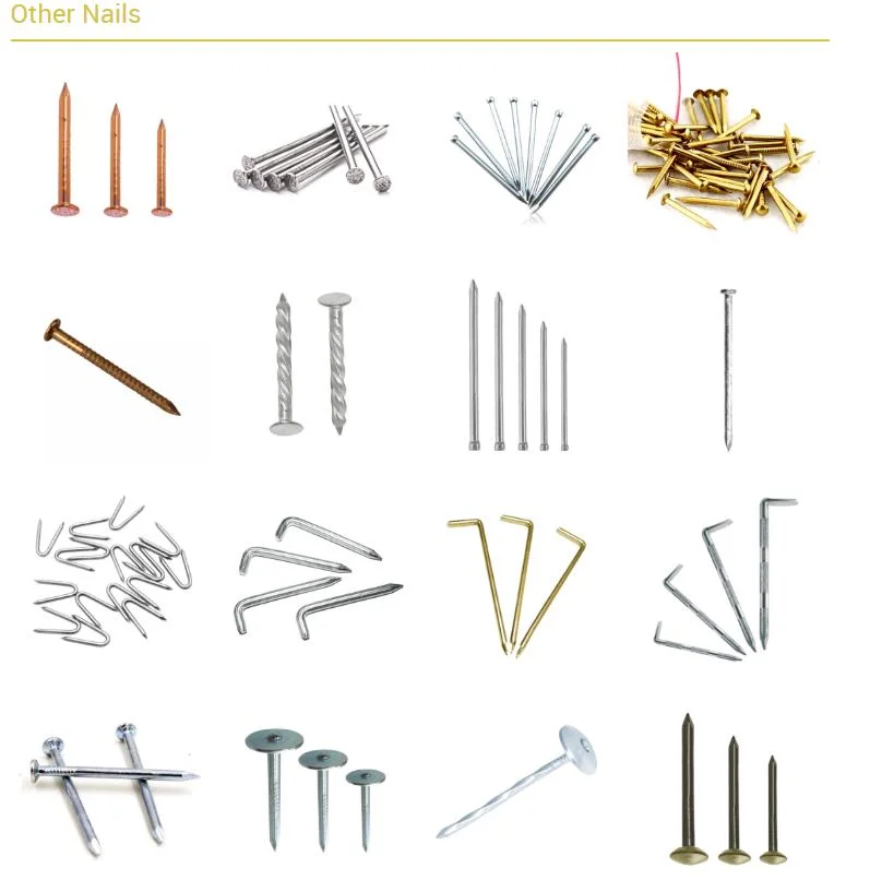 U Type Nails/ Fence Staples/U Shaped Nails/U Nail