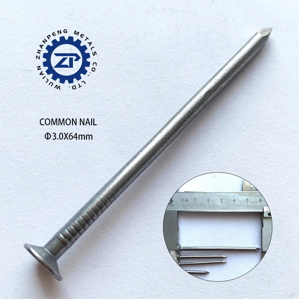 Furniture Accessories Fastener Common Wire Nail