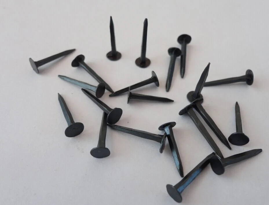 Good Price and Great Quality Sharp Point Blue Shoe Nail/Shoe Tacks/for Africa Market Good Quality and Cheap Price with ISO9001 Approved 3/4&prime;&prime;