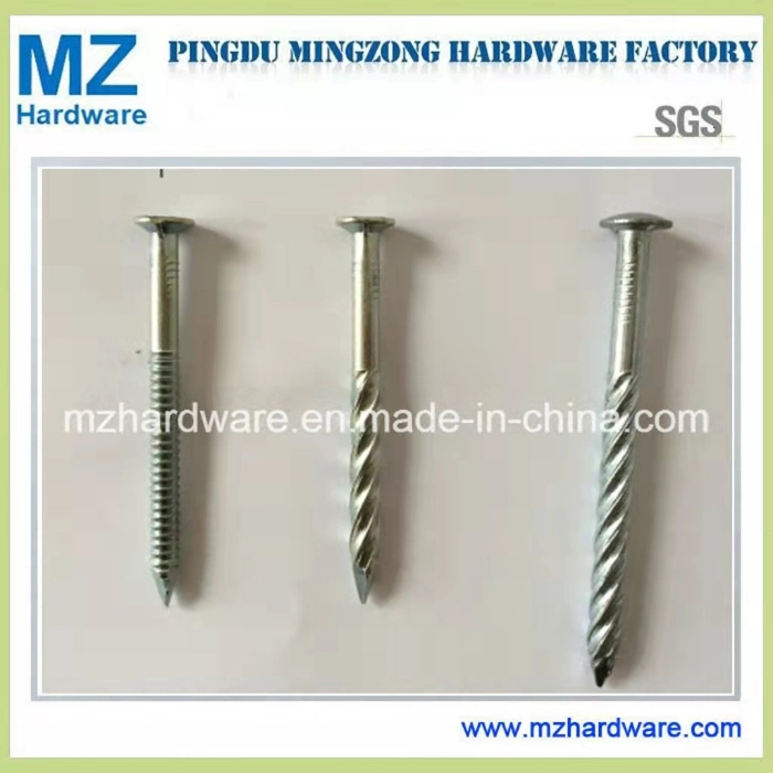 Galvanized Polished Twisted Shank Nail