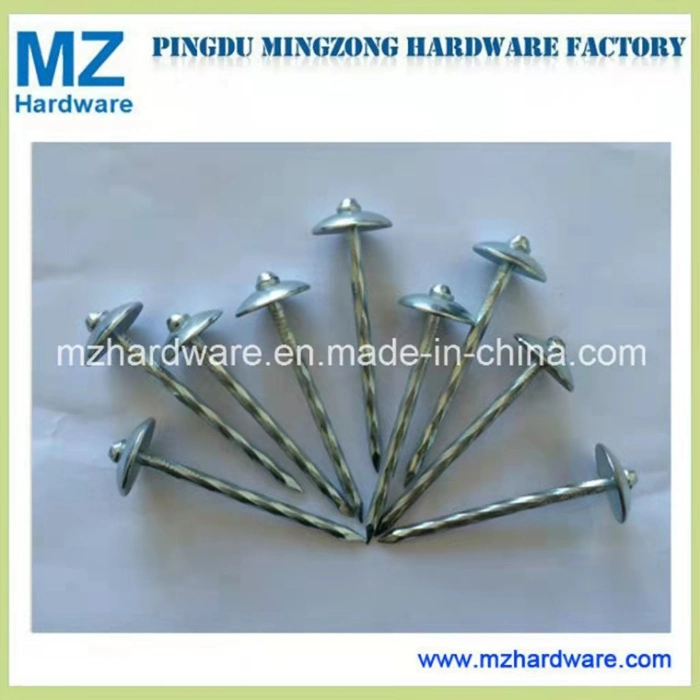 Colorful Galvanized Flat Head Umbrella Head Roofing Nail Steel Nail Clout Nail Common Nail