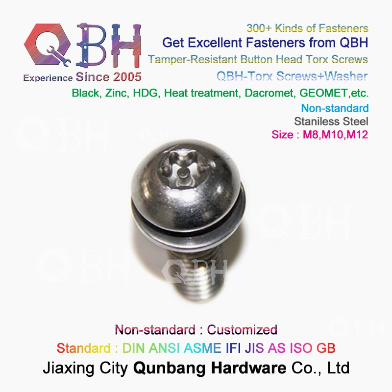 OEM Stainless Steel Ss 304 316 Flower Word Torx Mushroom Button Head Tamper-Resistant Machine Security Screw with Flat/Spring Plain Washers