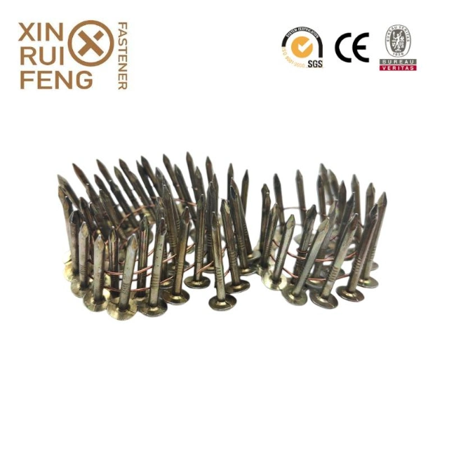 Promotion Price Umbrella Head Galvanized Smooth Shank Roofing Nails/Corrugated Nails