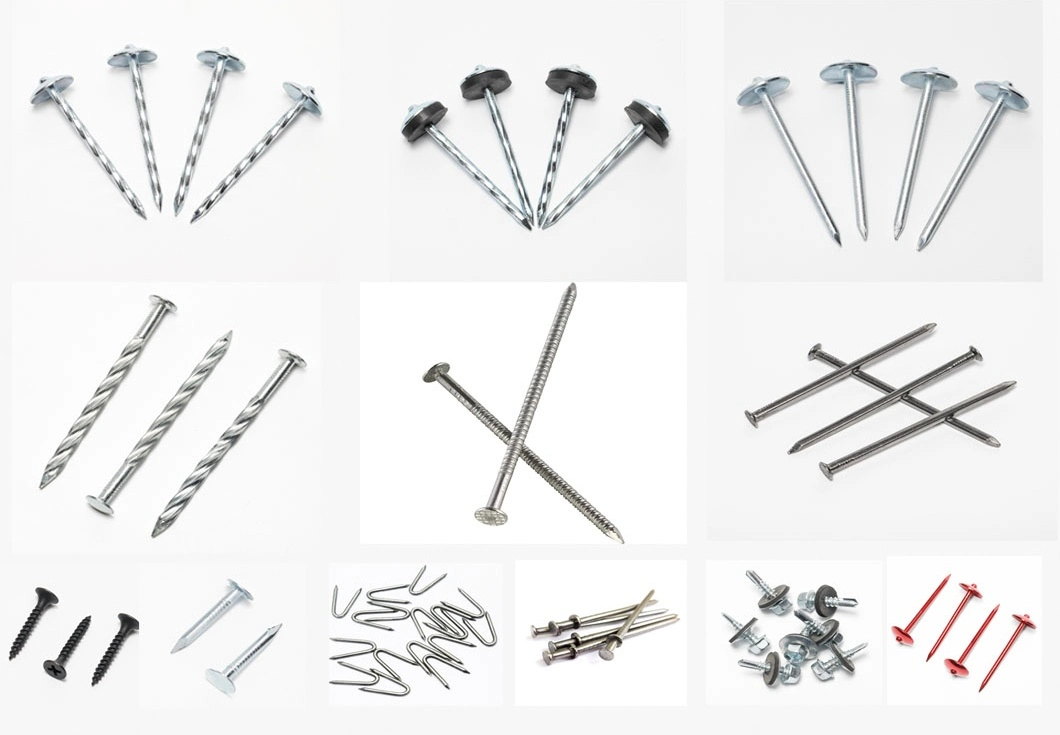 Wholesale High Quality Competition Price Steel Nail Concrete Nails