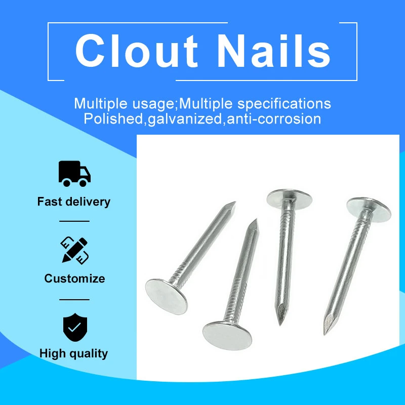 Roofing Felt Nails Sale Clout Head China Supplier Big Flat Head Clout Nail