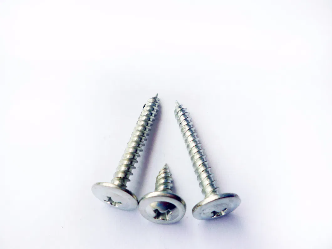 Electro Galvanized Wafer Truss Head Self Tapping Screw