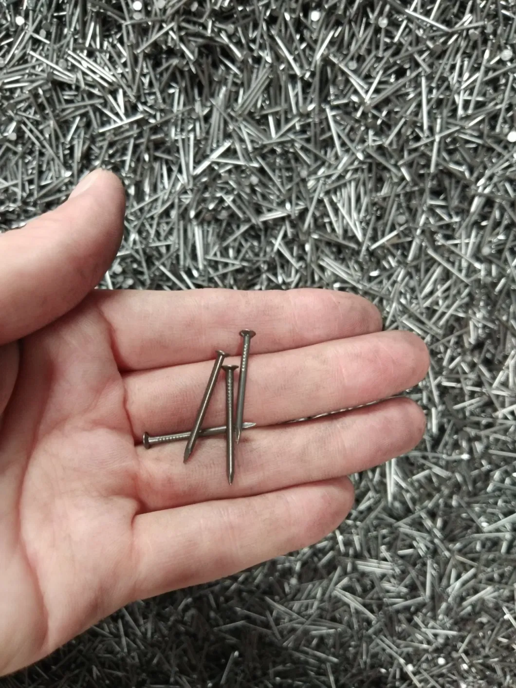 All Sizes Headless Common Iron Nail