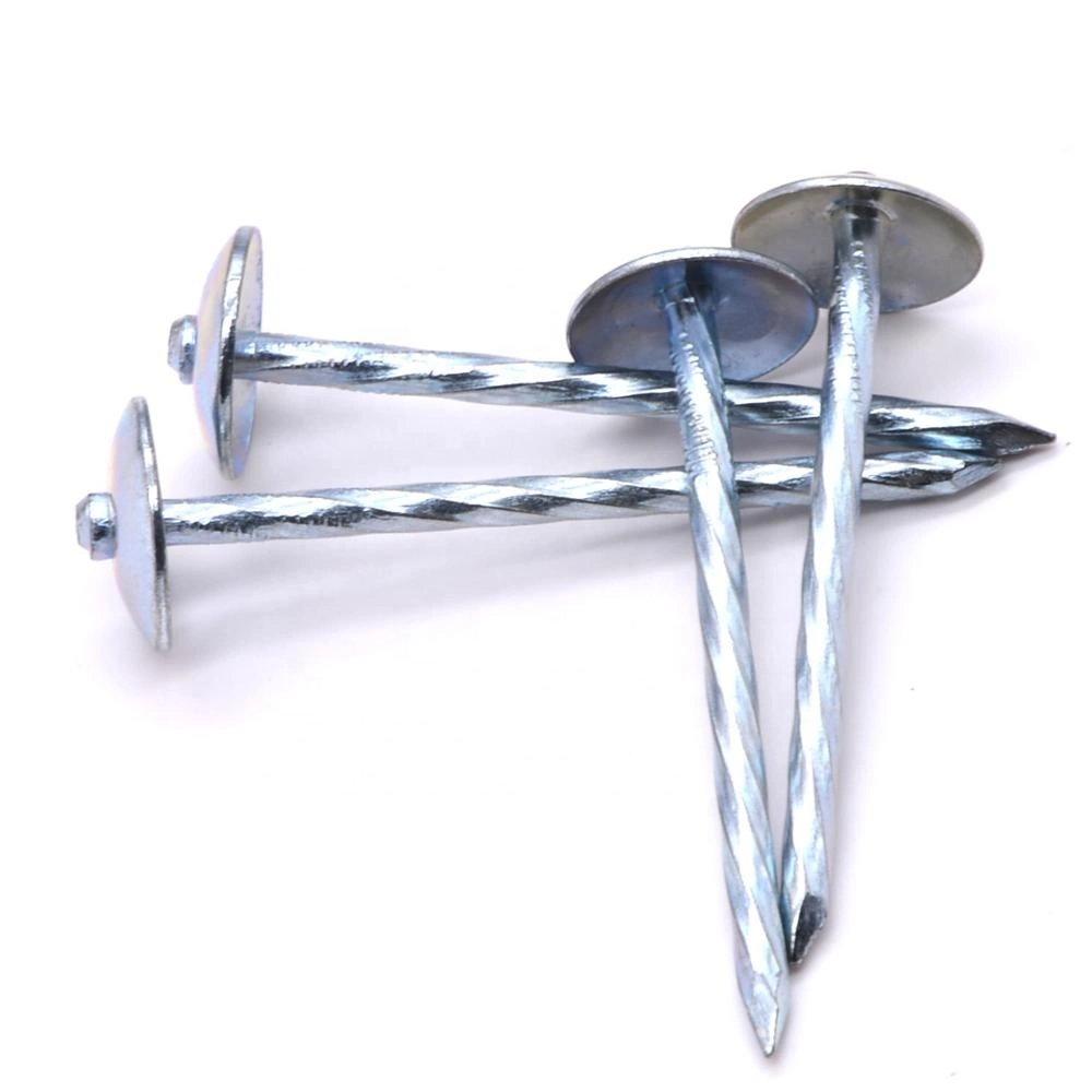 Angola Zambia Namibia Market/Galvanized Umbrella Head Roofing Nails Good Quality Roofing