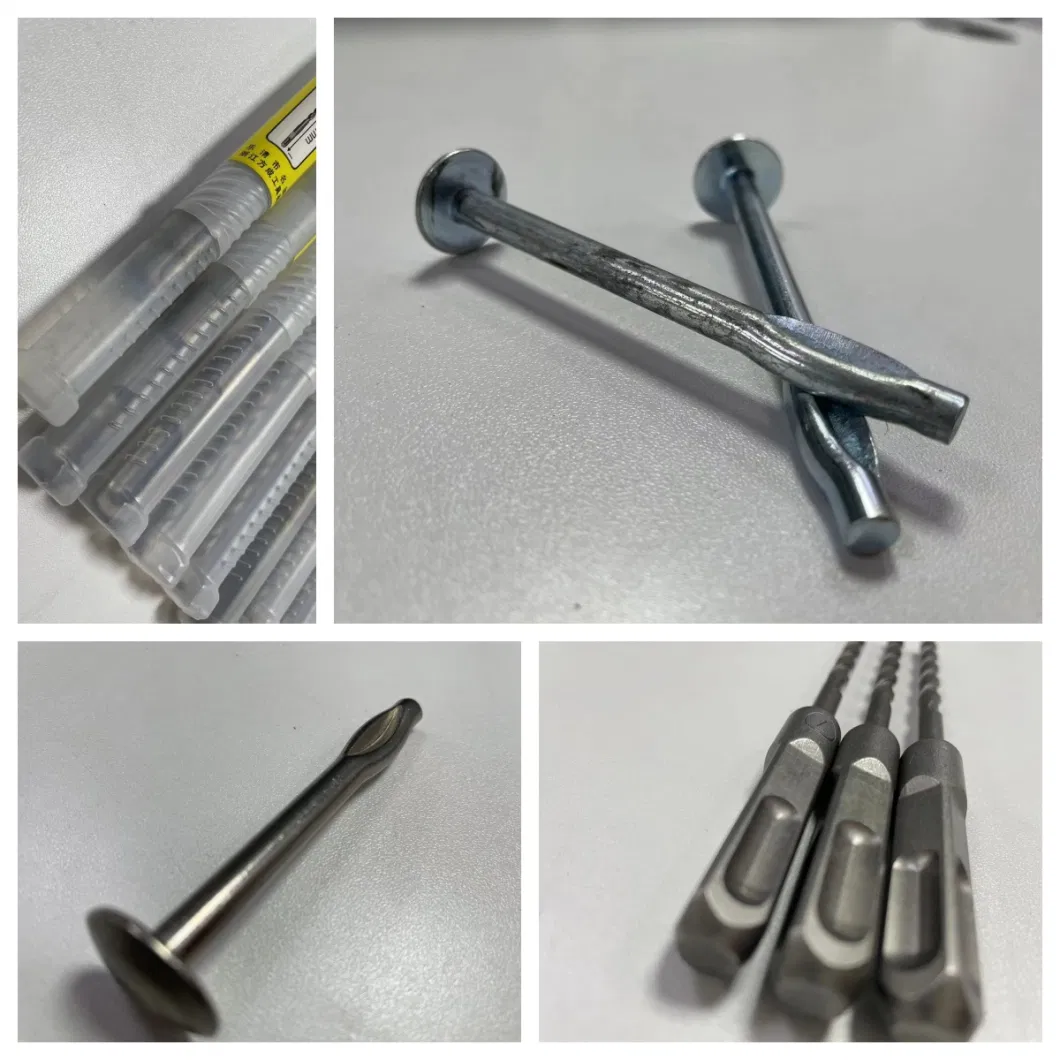 Hardware Fasteners Stainless Steel Framing Nails / Roofing Nails / Siding Nails 15/16&deg; Wire Collated Screws / Coil Nails with CE for Wood Pallets