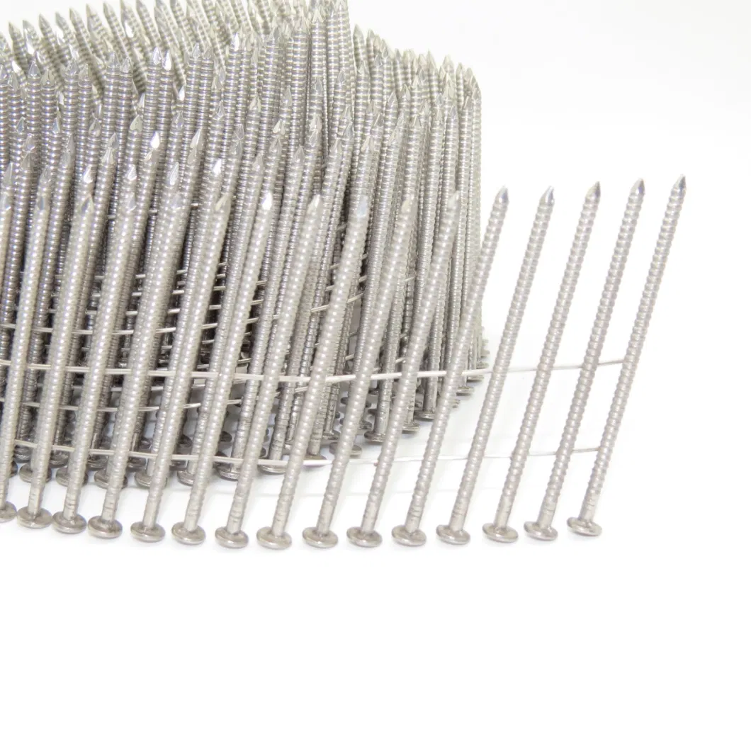 2.1mm X 50mm Stainless Steel Collated Coil Nails