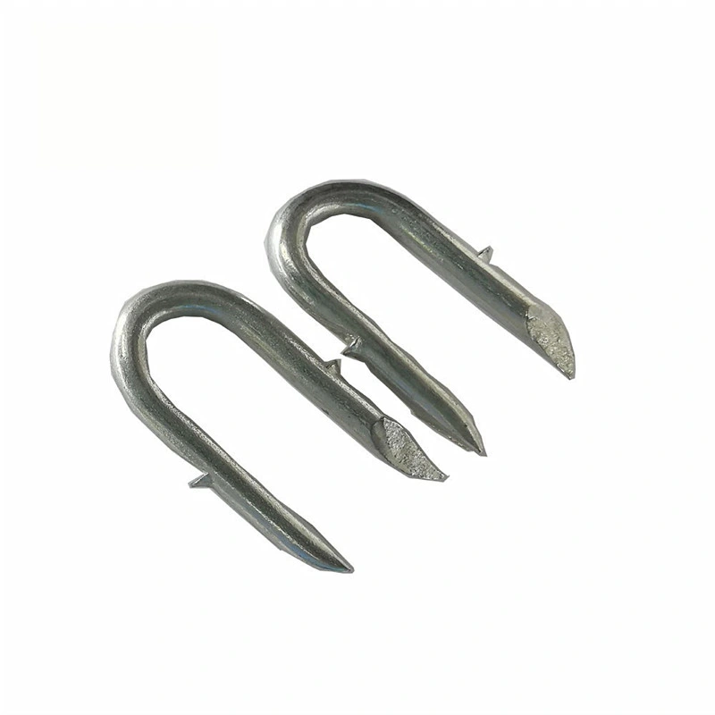 Smooth Shank Flat Head U Type Nail/U Shaped Fence Staple