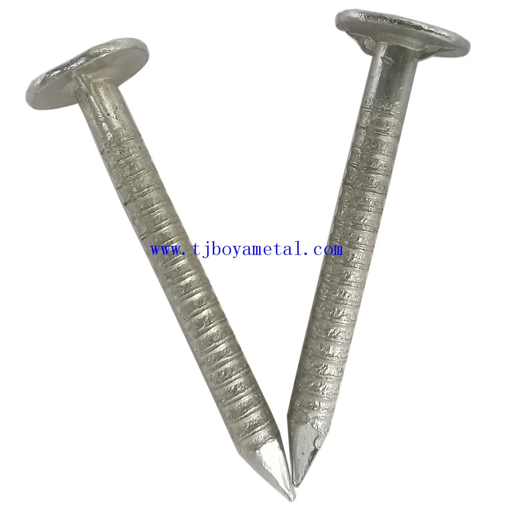 Eletrical Galvanized Framing Iron Finishing Metal Nail with Ring Shank for Building