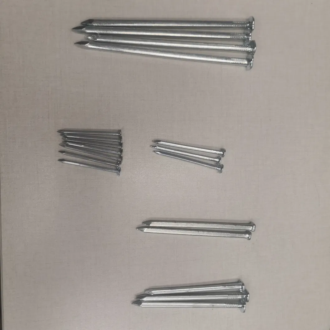 Q195 Q235 Material Polished Iron Nail Galvanized Square Shank Nail Square Boat Nail with High Quality