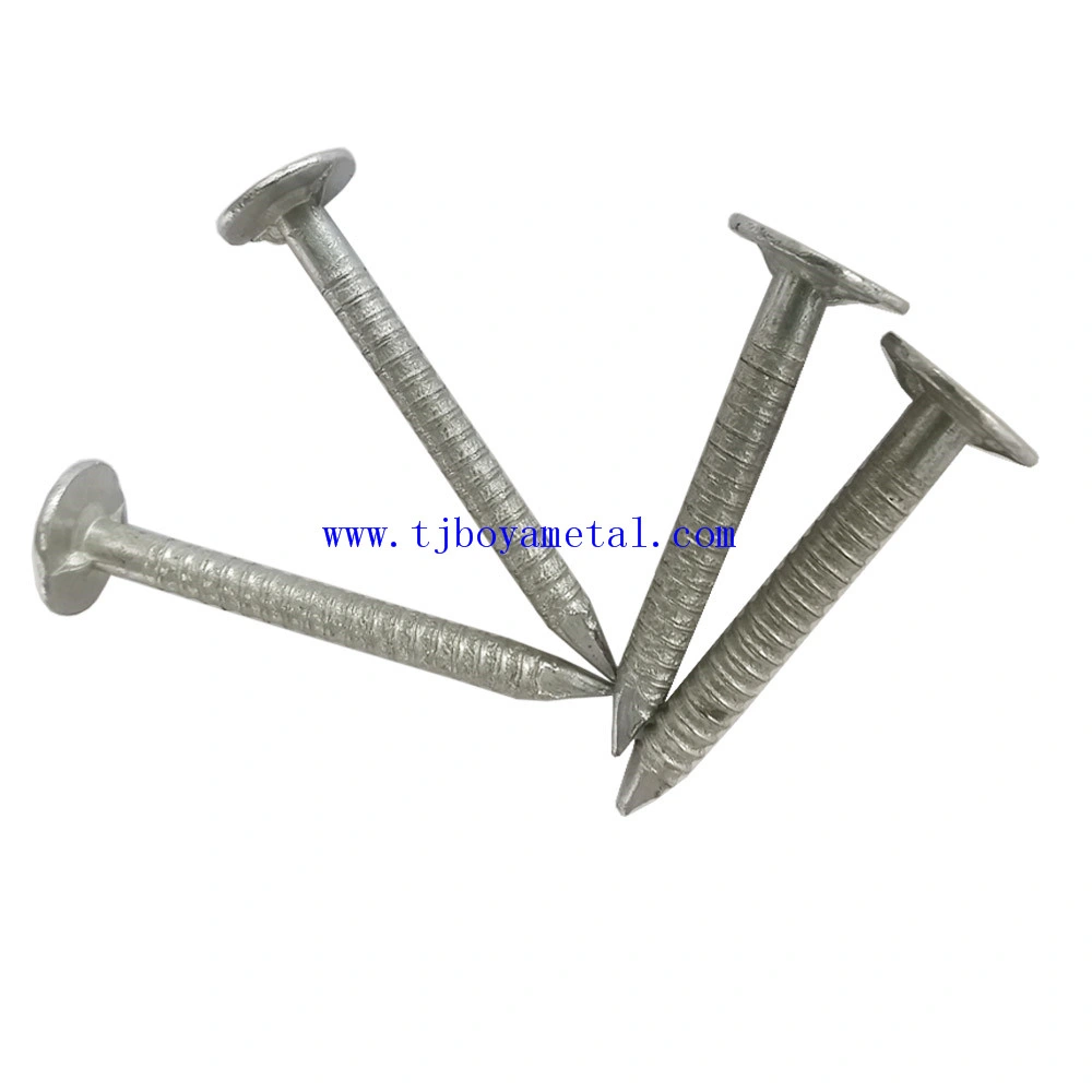 Eletrical Galvanized Framing Iron Finishing Metal Nail with Ring Shank for Building