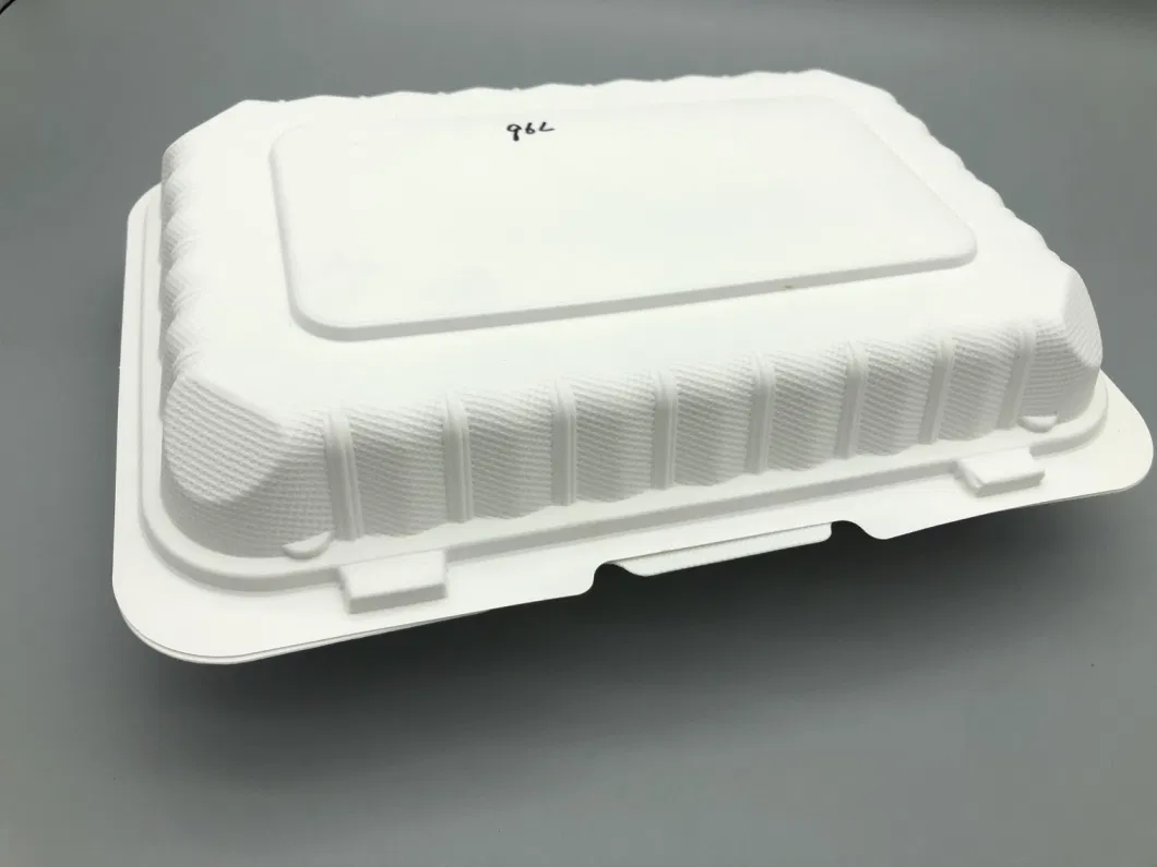 Hotel&amp; Restaurant Food Package Using Disposable Packaging Box