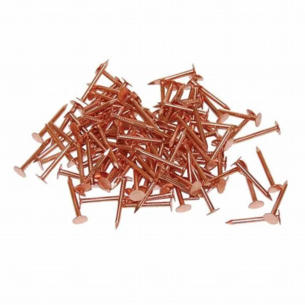 Flat Big Head Roofing Nail/Clout Nail Thick Hot DIP Coated Anti-Rust