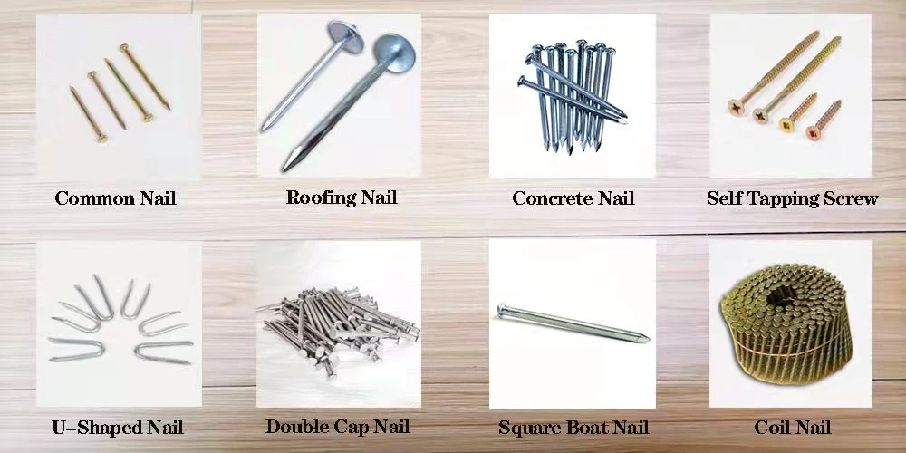 Rust and Corrosion Resistant/Flat Head Double Hat Nail/Smooth Rod General Nail/Double Hat Nail