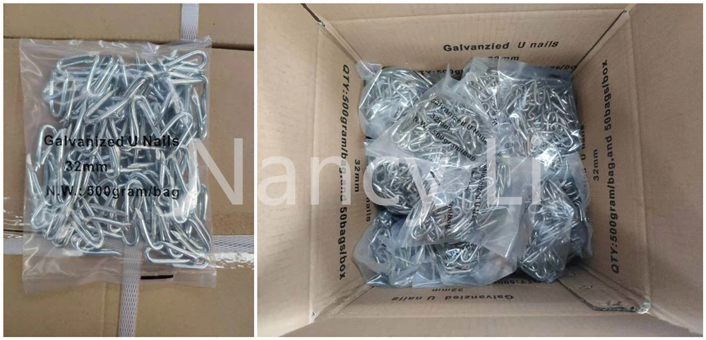 2.8X25mm Electro Galvanized Fencing Staples U Type Nails 500g Bag