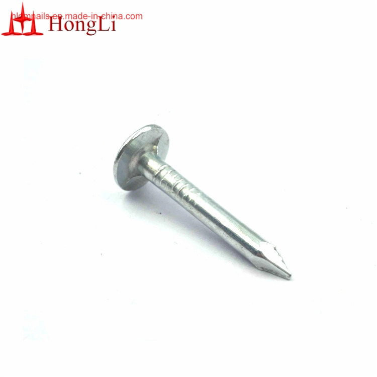 Ring Shank Better Fixation Clout Roofing Nails Flat Head Big Head Nails