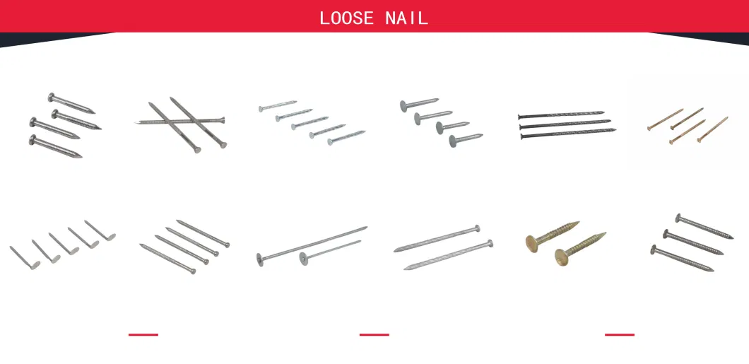 Lost Head Nails/ Jolt Head Nails / Common Nail Without Head/ Polished Headless Nail