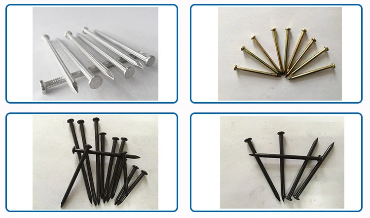 Made in China 304 316 Stainless Steel Nail