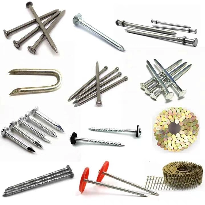 Flat Head Roofing Nail/ Clout Nail/ Big Head Nail/Galvanized Nail