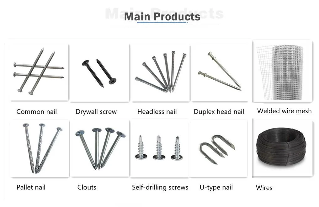 Hot Dipped Galvanized Headless Nail with Competitive Price