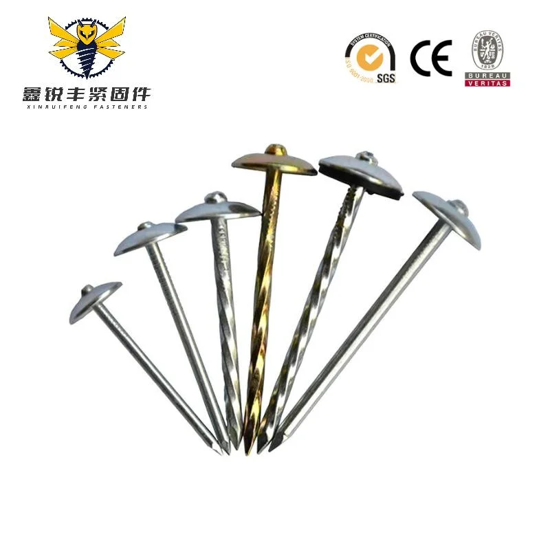 Roofing Nails Umbrella Roof Head Nail Twisted Roofing Nails