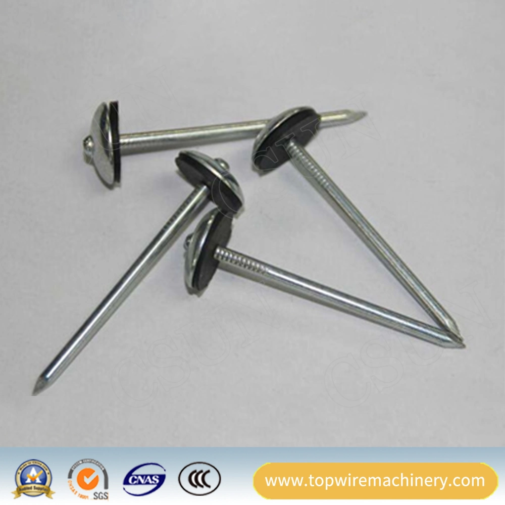 Polished/Galvanized Steel Twisted Shrank Umbrella Linoleum Nails Corrugated Roofing Nail