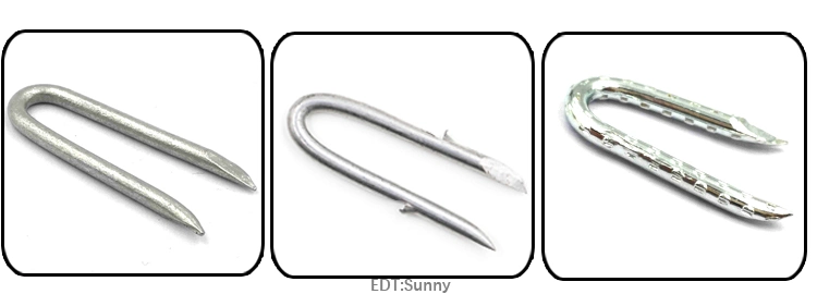 Hongli Fence Staple Nail/U Shape Nail/U Nail/SOD Staple/Poultry Staple/Nail/U Type Nail