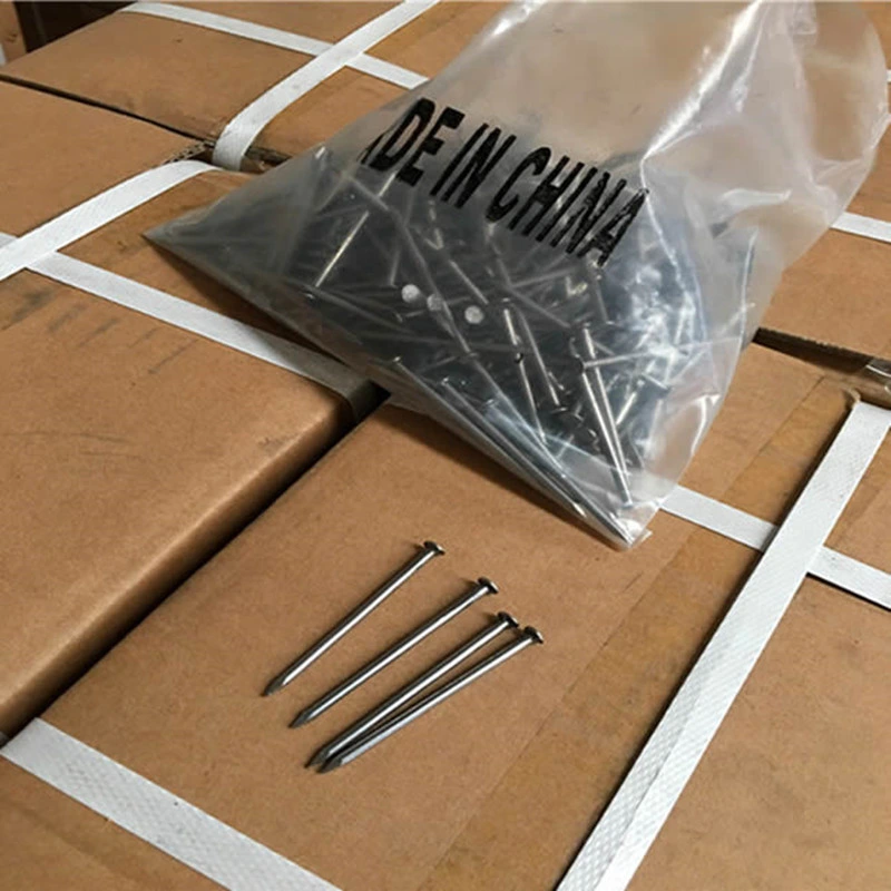 55# Steel Concrete Galvanized Nails, Common Iron Polished Nail for Building Construction