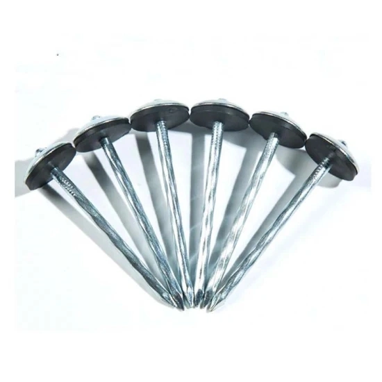 2-1/2 Inch 3 Inch Smooth Shank or Twist Shank Galvanized Umbrella Head Roofing Nail Per Pound with Rubber Washer South Africa