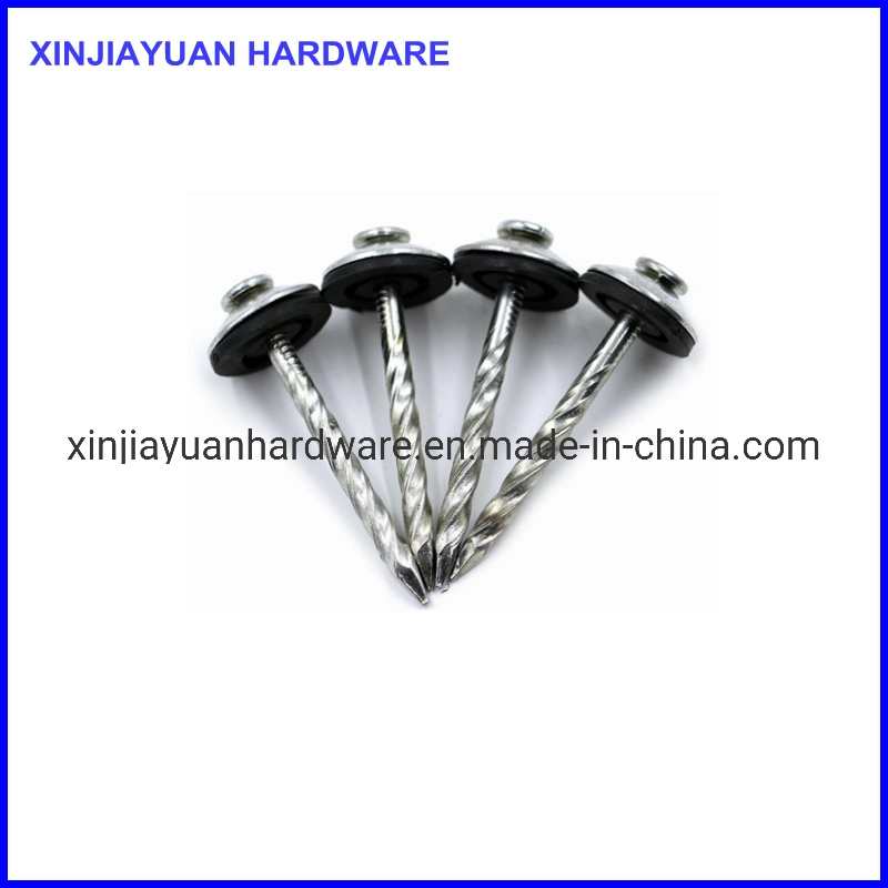 Fasteners Galvanized Roofing Nail Big Flat Head