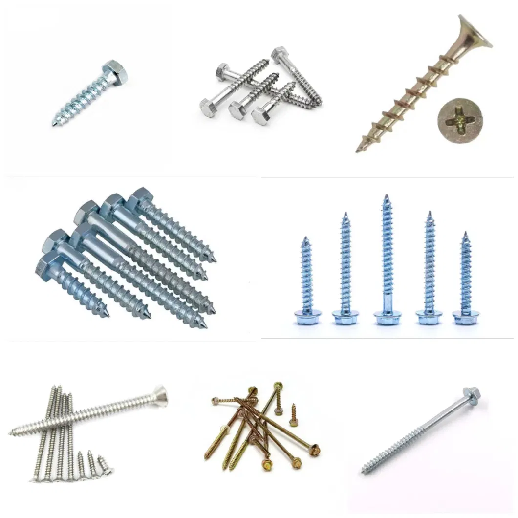 Hexagonal Head Wood Screw / Special-Shaped Bolt/Custom Stainless Steel Bolts