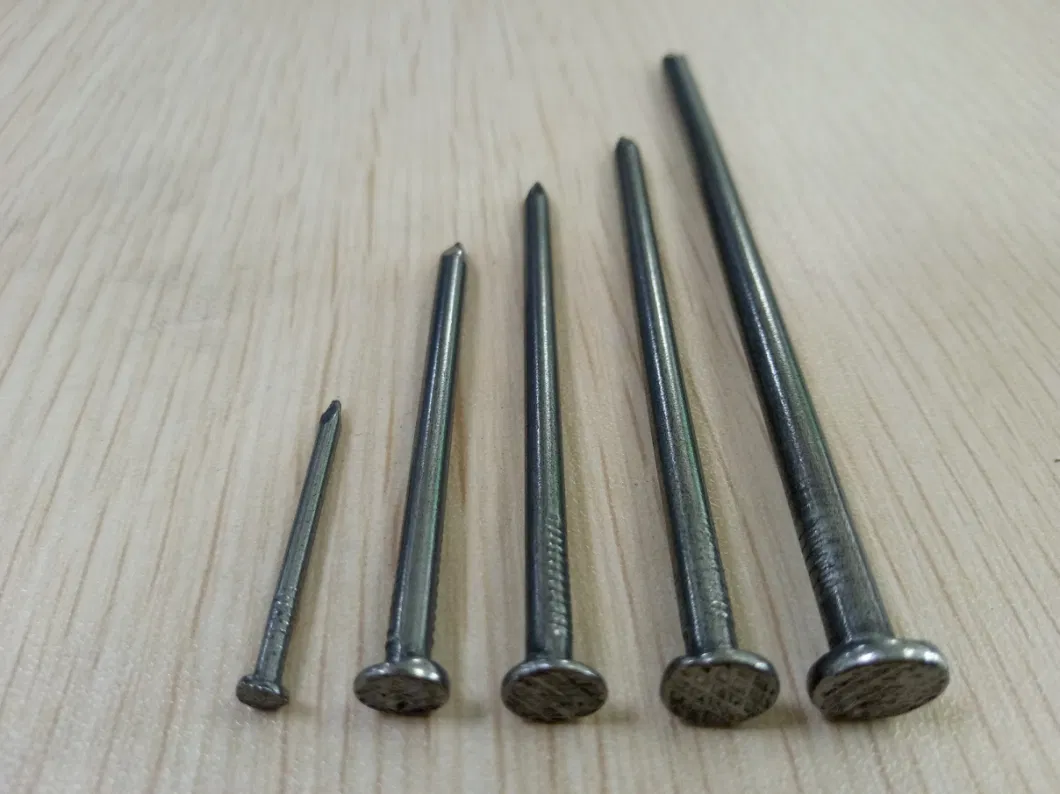 Common Round Iron Wire Nails Factory