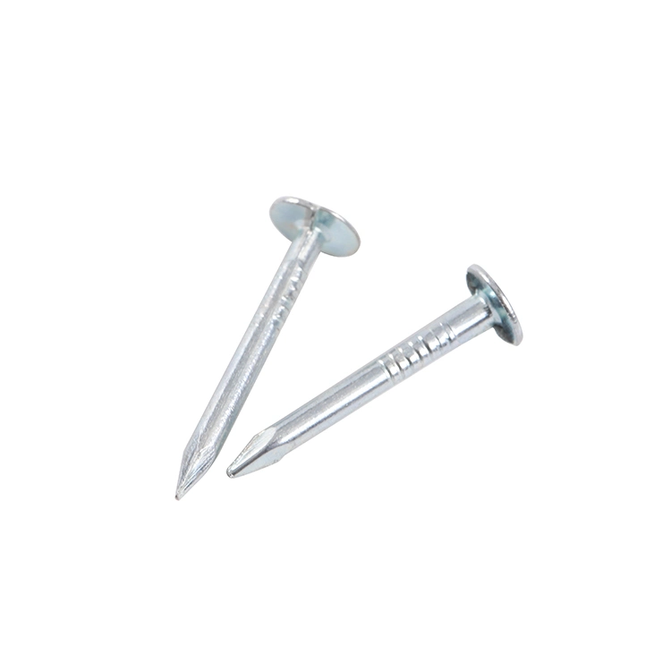 Flat Head Clout Nails Galvanized Cupper Nails