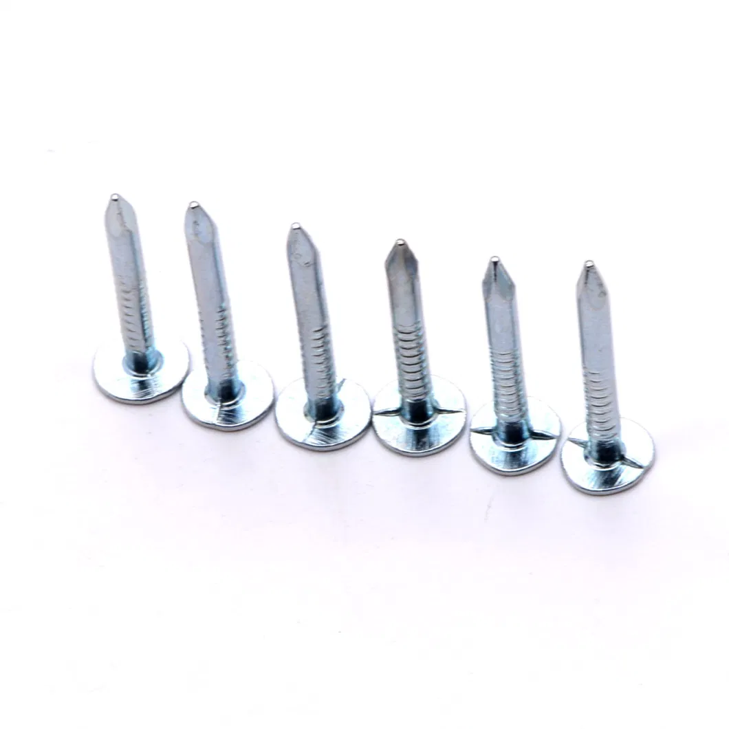 Professional Flat Head Roofing Nails Ceiling Nails Galvanized Cupper Nails