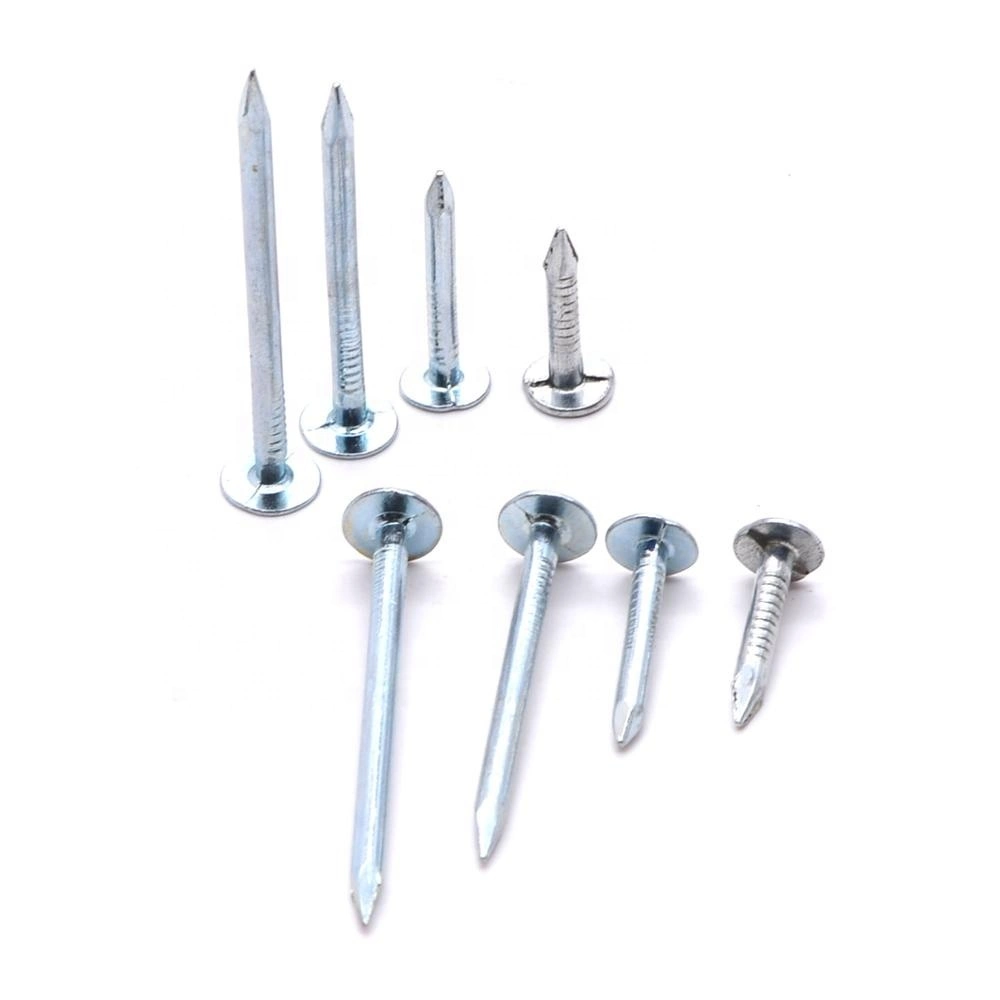 Professional Flat Head Roofing Nails Ceiling Nails Galvanized Cupper Nails