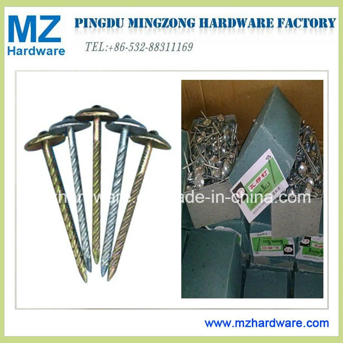 Electro Galvanized Umbrella Head Roofing Nail Twist Plain Shank