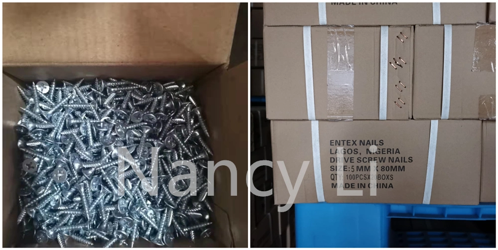 Black/Grey Phosphated Phillips Bugle Head Fine/Coarse Thread Drywall Screws Electro Galvanized Self-Tapping Screws Sharp Point General Construction