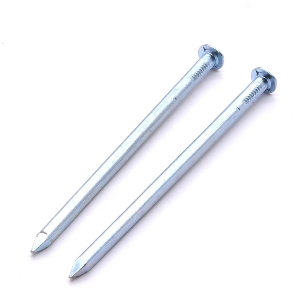 Thailand Laos Vietnam Philippines Singapore Market/Galvanized Boat Nails with Square Shank