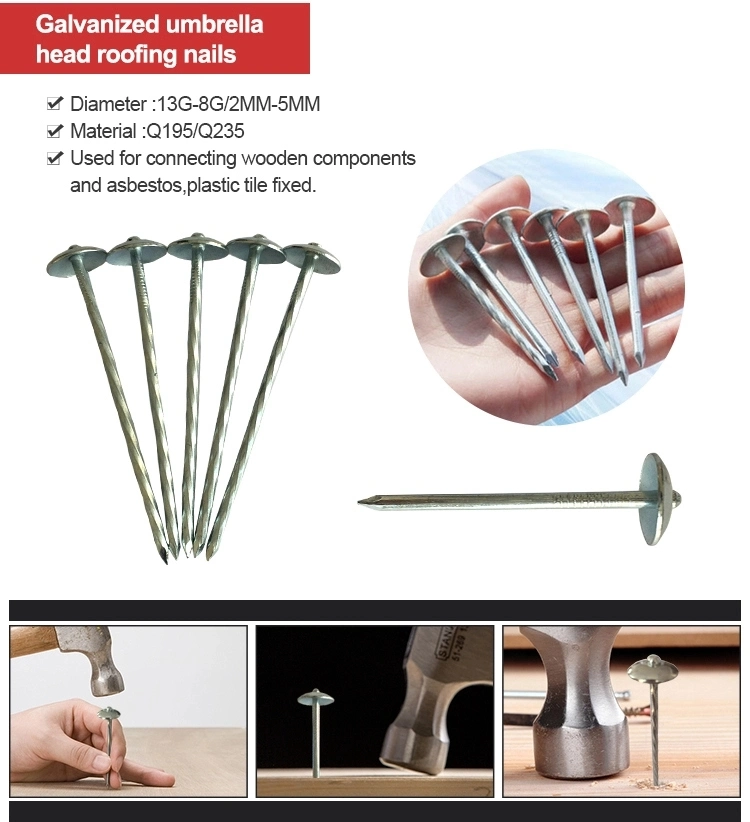 Factory Cheap Price Umbrella Head Brad Roofing Nails