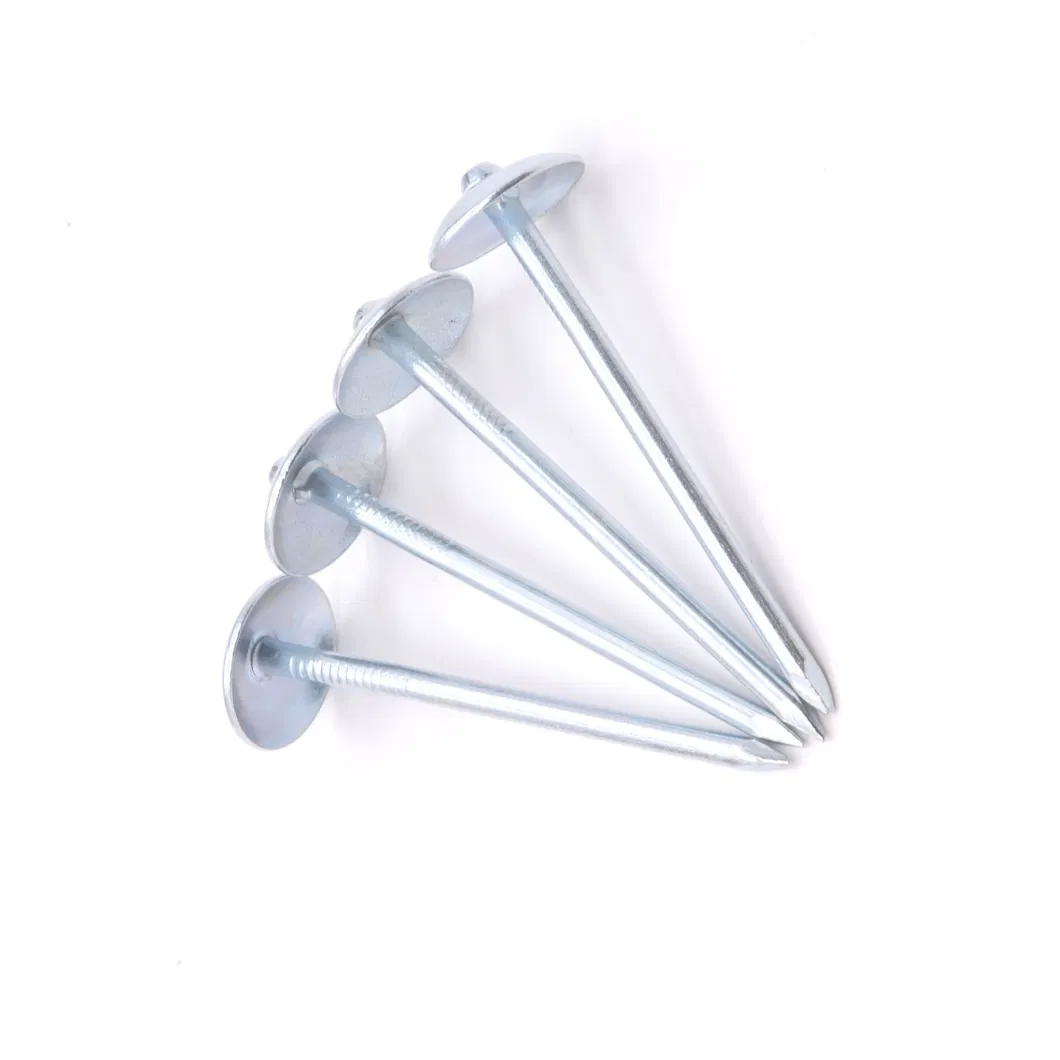 Tianjin Factory Q195 Galvanized Umbrella Head Smooth/Twist Shank Roofing Nails